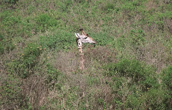 Mit dem Mountainbike durch den Arusha Nationalpark